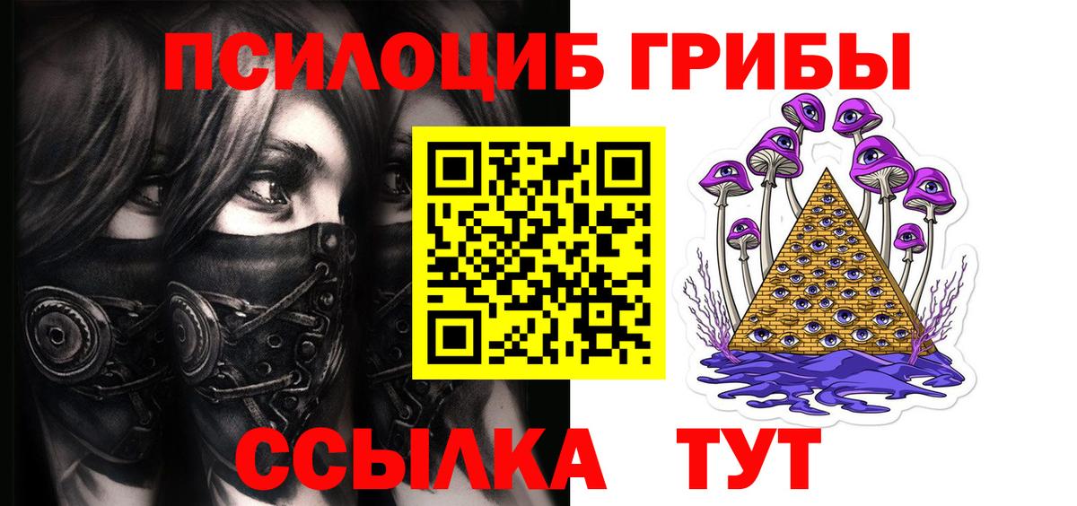 Псилоцибиновые грибы Cubensis Гуково